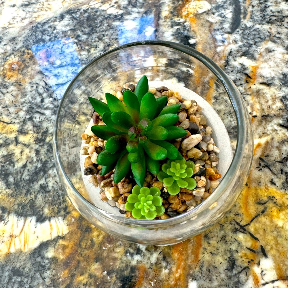 Cute faux succulent